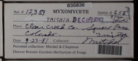 Image Associated With the Occurence